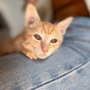 Meet your Posher, Ellie